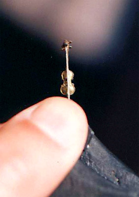 Миниатюрная скрипка, на которой играл сам Газарян.